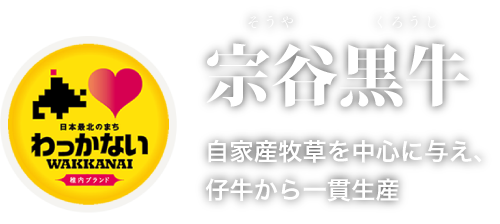 souyakuroushi500